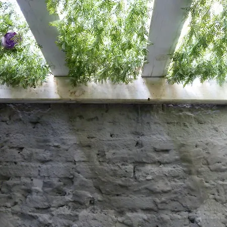 Pequeno Con Mini Piscina - No Climatizada Valencia